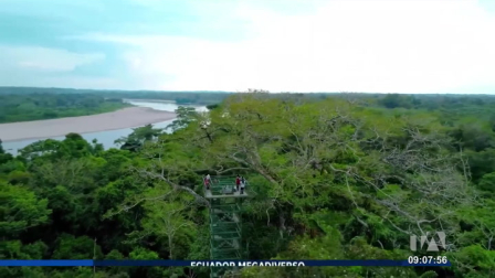 El Desafío Naturalista 2025 reunió a 119 estudiantes para identificar plantas no nativas en Ecuador. La iniciativa busca fortalecer el pensamiento científico y generar información útil para futuras investigaciones.

Un reportaje de Nathalie Jiménez