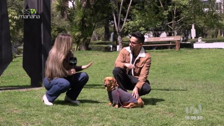 El experto canino Paúl Méndez nos enseña identificar los signos de estrés que pueden presentar nuestras mascotas y ejercicios que ayudan a reducirlo.