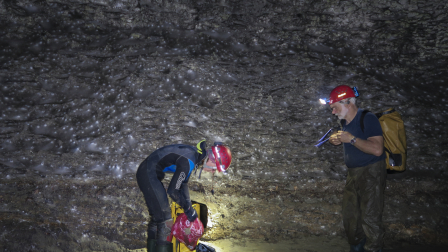 En la gruta "Sulfur Cave" de Grecia científicos descubren gigantesca telaraña con más de 111 mil arañas