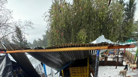 Cientos de perros afectados por colapso de refugio tras aguacero en Quito.