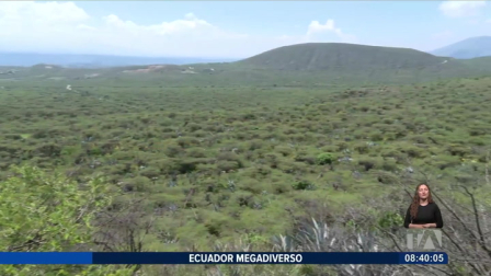 El Bosque Seco de Jerusalem es un espacio con gran diversidad de especies ubicado en el cantón Pedro Moncayo, al norte de Quito. ás información en el reportaje completo.

Un reportaje de Nathalie Jiménez