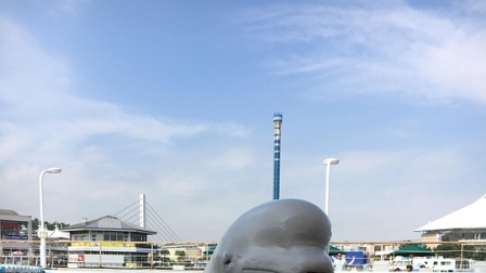 Beluga en un centro de atracciones (foto referencial)