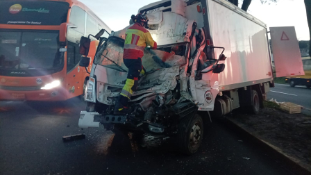 Un camión impactó contra un árbol en sentido norte-sur, en el sector de La Argelia.