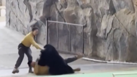 Un oso negro se abalanzó contra uno de sus cuidadores en China.