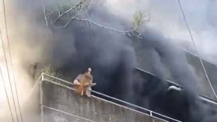 Una mujer se negó a evacuar un edificio en llamas sin antes salvar a sus mascotas.