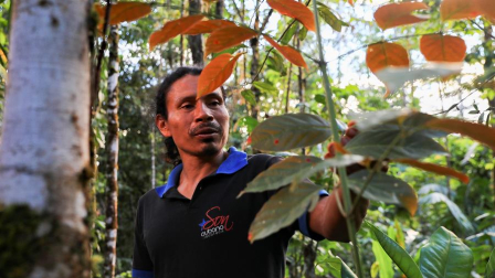 OMS busca dar base científica a la medicina tradicional