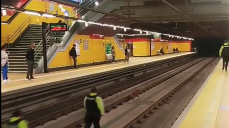 Perrito en las rieles del Metro de Quito paraliza la operación