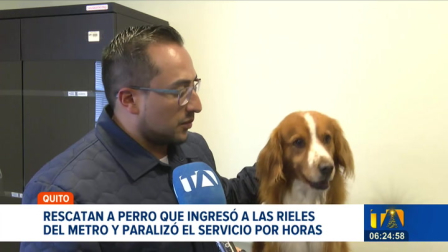 La Unidad de Bienestar Animal rescató al perro que ingresó a los rieles del Metro de Quito y obligó a suspender el servicio por varias horas. El animal se encuentra en buen estado de salud y, si no aparece su tutor, será dado en adopción.

Un reportaje de Nathalie Jiménez