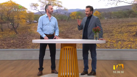 Patricio Isch, director de Sierra Loma, nos habla del maravilloso florecimiento de los guayacanes. ¿Cómo podemos vivirlo?