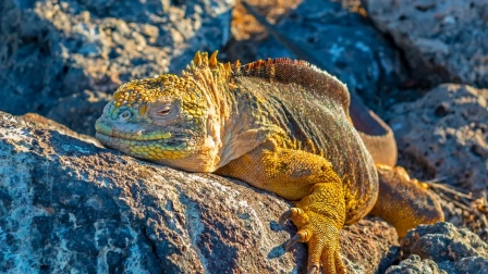 El 2025 va dejando noticias positivas en materia de ambiente, salud y otras.
