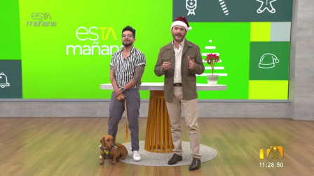 Paúl Méndez nos recuerda los cuidados que debemos tener con nuestras mascotas durante las festividades. Una charla imperdible en esTAmañana