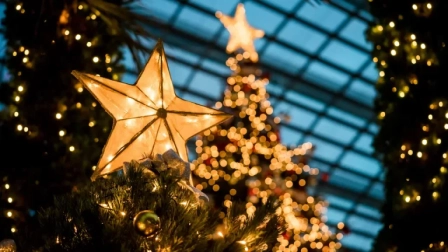 En muchos países, el árbol de Navidad y la estrella son símbolos característicos de estas fechas festivas