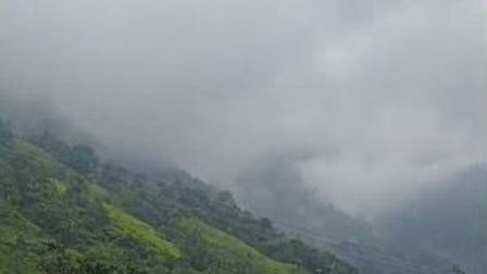 bus interprovincial se volcó en la vía Alóag - Santo Domingo este 25 de diciembre