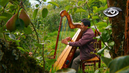 Le llaman maestro no solo por su música, sino por la destreza con la que transforma madera en arpas monumentales.  Hoy, desde su hogar en Píllaro, Víctor comparte cómo sus manos convierten la madera en melodías que emocionan.