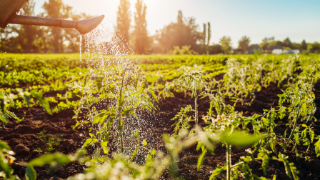 El objetivo es crear proyectos de riego en las comunidades de la Sierra Centro