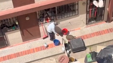 Una persona golpea a una tortuga terrestre en el patio de una vivienda, en Quito.