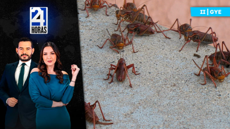 Revise las noticias más destacadas de Guayaquil en nuestro Noticiero 24 Horas Segunda Emisión de este viernes 16 de enero del 2026. Con Valerie Villalva y Carlos Sacoto.