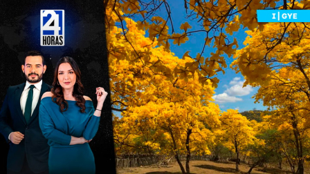 Revise las noticias más destacadas de Guayaquil en nuestro Noticiero 24 Horas Primera Emisión de este lunes 19 de enero del 2026. Con Valerie Villalva y Carlos Sacoto.