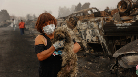 Incendios causan devastación de pueblos enteros en Chile.