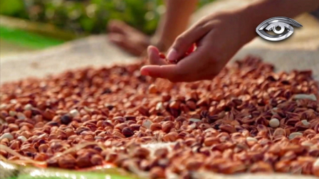 Hay sabores y saberes que no se pueden replicar. Su calidad nace del territorio, del clima y de las manos que los trabajan. Por eso existe la Denominación de Origen: un sello reconocido a nivel internacional que protege lo auténtico, lo vincula a su lugar de origen y que hoy ostentan siete productos nacionales.