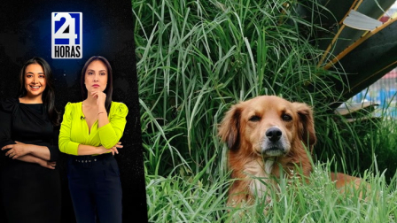 Revise las noticias más destacadas de Quito en la Emisión Central del Noticiero 24 Horas de este jueves 22 de enero del 2026. Con Andrea Samaniego y  Stephany Paz.