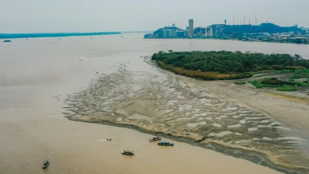 La cuenca del río Guayas es el sistema fluvial más importante de la costa pacífica ecuatoriana