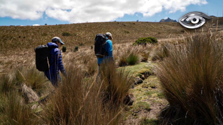La desaparición de un niño en el cerro Puñay puso en alerta a todo el país durante varios días. El desenlace fue feliz, pero estos episodios no son excepcionales. A partir de ese caso, conversamos con especialistas para recoger consejos esenciales: equipamiento adecuado, planificación, lectura del clima y qué hacer ante una emergencia.