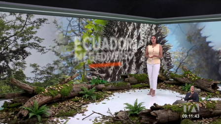 Investigadores encontraron una nueva especie de árbol espinoso que nade de una misma raíz, siendo un hito de la biodiversidad del sector de Zapotillo. Un reportaje de Nathalie Jiménez