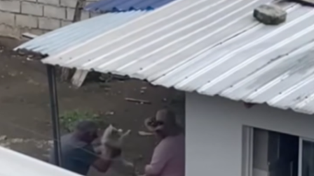 Maltrato animal contra dos perritos en barrio del sur de Quito