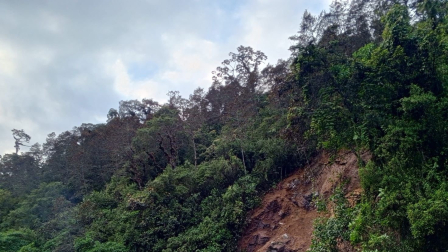 Personal y maquinaria del GAD Provincial de Pichincha se encuentran en el lugar realizando labores de limpieza de la vía.