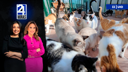 Revise las noticias más destacadas de Quito en la Segunda Emisión del Noticiero 24 Horas de este viernes 20 de febrero del 2026. Con Gabriela Galárraga y Andrea Samaniego.