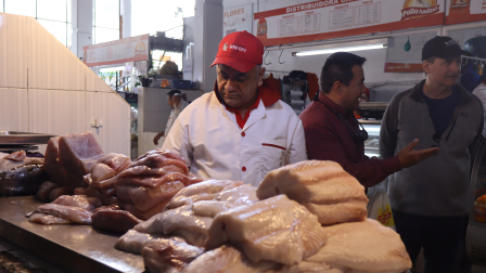Un estudio reveló que casi la mitad de corvina que se consume en los mercados de Quito es carne de tiburón.
