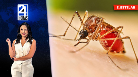 Revise las noticias más destacadas del Ecuador en el Noticiero 24 Horas Emisión Estelar de este domingo 22 de febrero del 2026. Con Belén Merizalde