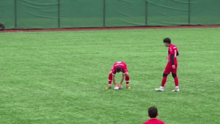Un futbolista realiza reanimación cardiopulmonar de emergencia a una gaviota tras ser golpeada por un balón durante un partido en Estambul, reanimando al ave.