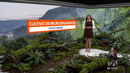 Los microorganismos a pesar de su tamaño cumplen una función importante en esta zona del país desde regenerar el suelo hasta reciclar nutrientes. Un reportaje de Nathalie Jiménez