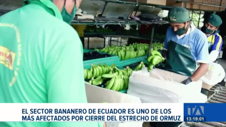 El sector productivo estima que se dejarían de exportar más de 2 millones de cajas de banano mensuales si la tensión internacional persiste