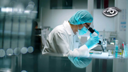 Hoy es posible conocer el origen biológico de nuestros antepasados a través de pruebas de ADN que revelan el porcentaje de ascendencia y las raíces familiares. Explicamos cómo funcionan los exámenes de ancestría, qué información entregan y cuál es su utilidad real.