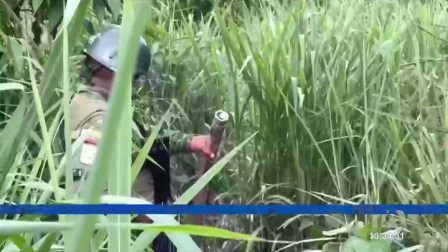 La empresa pública implementa cuatro estrategias urgentes para frenar las perforaciones clandestinas en la red de poliductos y oleoductos.