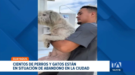 La Vía a Daule, la Perimetral y el Suburbio son los sectores con mayor incidencia de casos de abandono; la cifra de requerimientos de atención sigue al alza. Un reportaje de Jazmín Solís