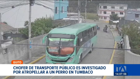 La Unidad de Bienestar Animal inició el proceso contra el conductor de transporte público, quien podría pagar una multa de hasta USD 4.600. Un reportaje de Natalie Jiménez