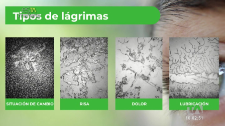 Gissela Echeverría, terapueta familiar, nos explicó por qué las lagrimas y el llanto son herramientas de liberacion emocional.