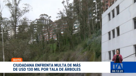 La Agencia Metropolitana de Control sancionó a una ciudadana con 10 salarios básicos por cada árbol cortado sin permiso. Un reportaje de Gustavo Jaramillo