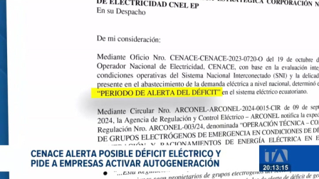 Cenace dispuso que empresas privadas operen sus propios generadores en horarios específicos. Un reportaje de Ismenia Solórzano