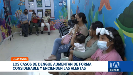 Guayaquil registra un promedio de 12 casos diarios de dengue. El aumento sostenido de contagios pone en alerta a las autoridades de salud. Un reportaje de Ever Moreira