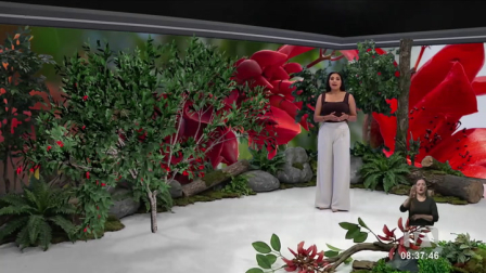 Investigadores de la PUCE advierten que la pérdida de hábitat amenaza la supervivencia de esta especie. Un reportaje de Nathalie Jiménez