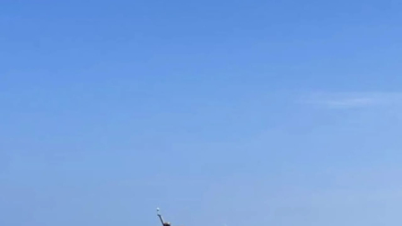 Armada del Ecuador ejecuta operativo en el Archipíélago de Jambelí