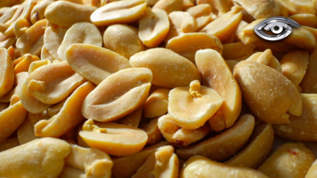 El maní ha recorrido siglos y cocinas hasta convertirse en un ingrediente imprescindible en Ecuador. Presente en platos como el viche, la salprieta o la guatita, su sabor despierta recuerdos y tradiciones. Hoy, entre investigación y conservación, este pequeño grano demuestra que tiene mucho que ofrecer.