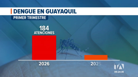 En Guayaquil existe un repunte de casos de dengue. La ciudadanía denuncia proliferación de mosquitos y exige campañas de fumigación. Un reportaje de Camila Guevara