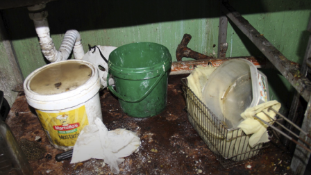 Inspección sanitaria en Machala dejó 12 clausuras.