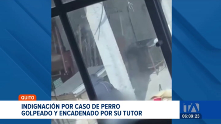 La Unidad de Bienestar Animal intervino en el norte de Quito tras denuncias de maltrato; el animal fue hallado con heridas visibles y en condiciones deplorables. Un reportaje de Gustavo Jaramillo